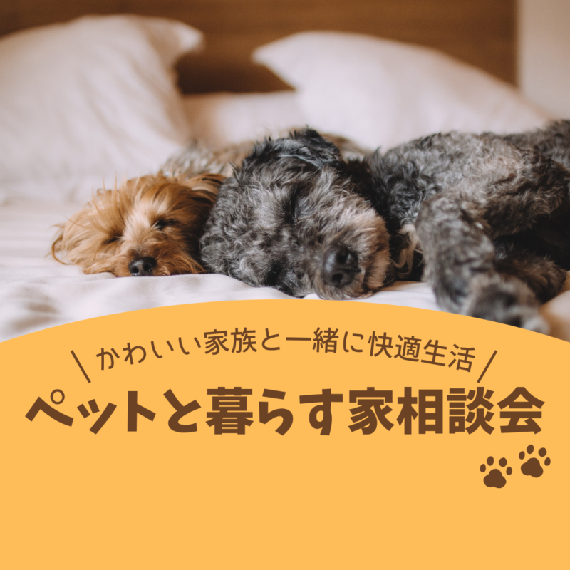可愛い家族との快適生活｜ペットと暮らす家相談会