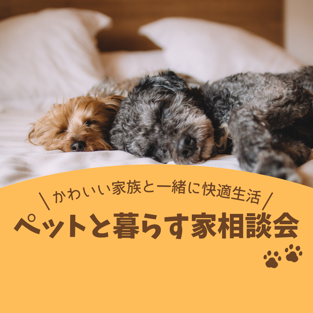 可愛い家族との快適生活｜ペットと暮らす家相談会